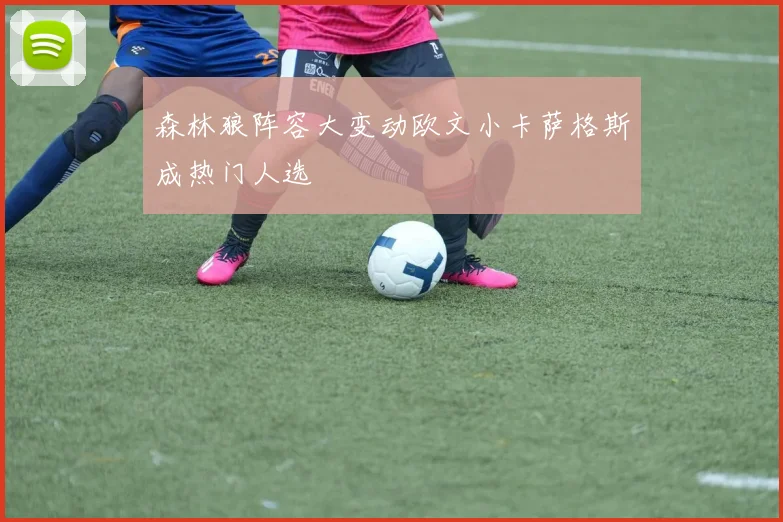 森林狼阵容大变动欧文小卡萨格斯成热门人选