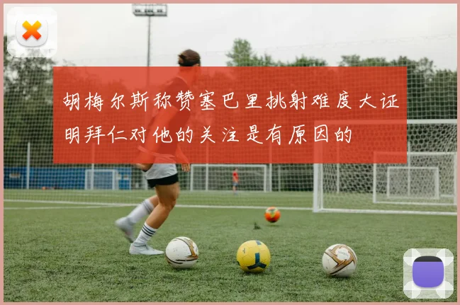 胡梅尔斯称赞塞巴里挑射难度大证明拜仁对他的关注是有原因的