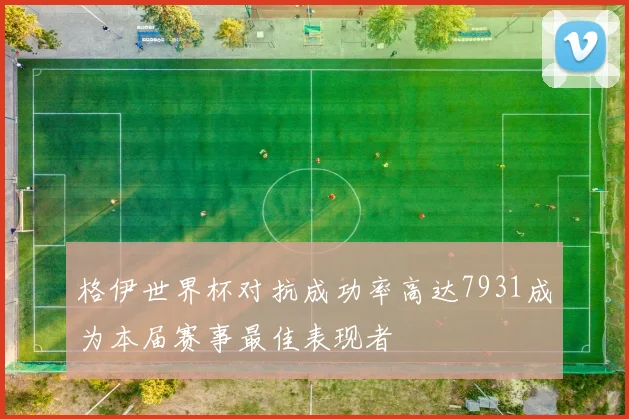 格伊世界杯对抗成功率高达7931成为本届赛事最佳表现者